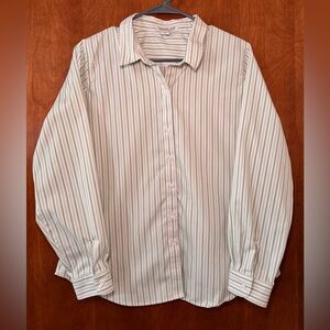 Coldwater Creek Petite 12P Button Down Shirt Sage Green White Striped Top L/S